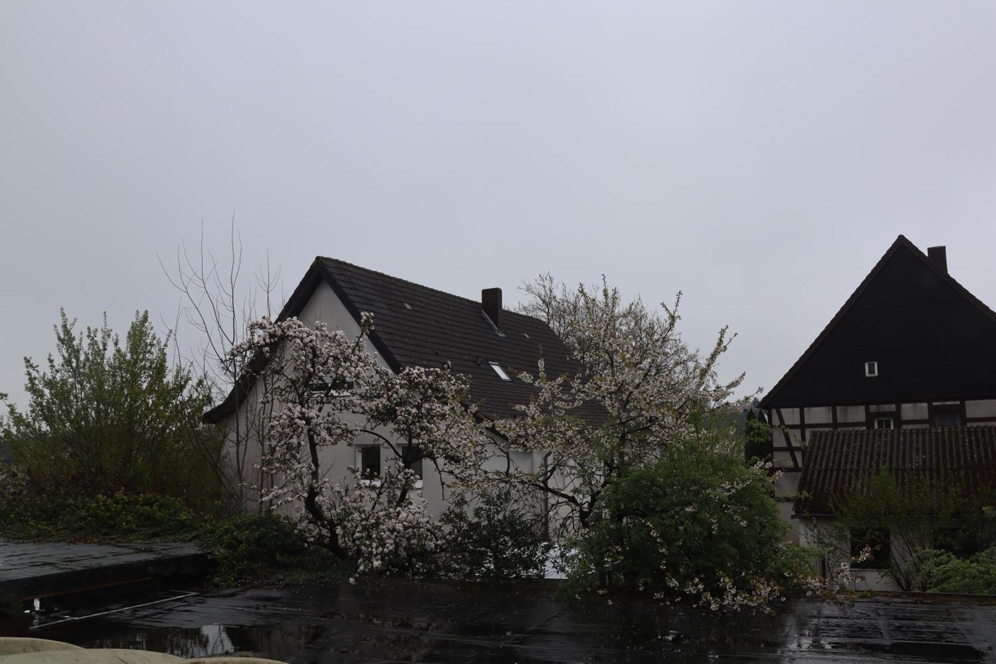 Hotel Haarener Hof Bad Wünnenberg Eksteriør billede